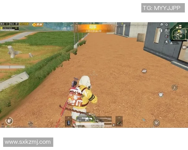 深度探讨陈秀英在和平精英中的成长与人生哲学