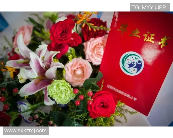 与杨敏畅谈英雄联盟职业生涯的点滴与成长之路